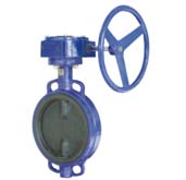 全襯膠渦輪蝶閥